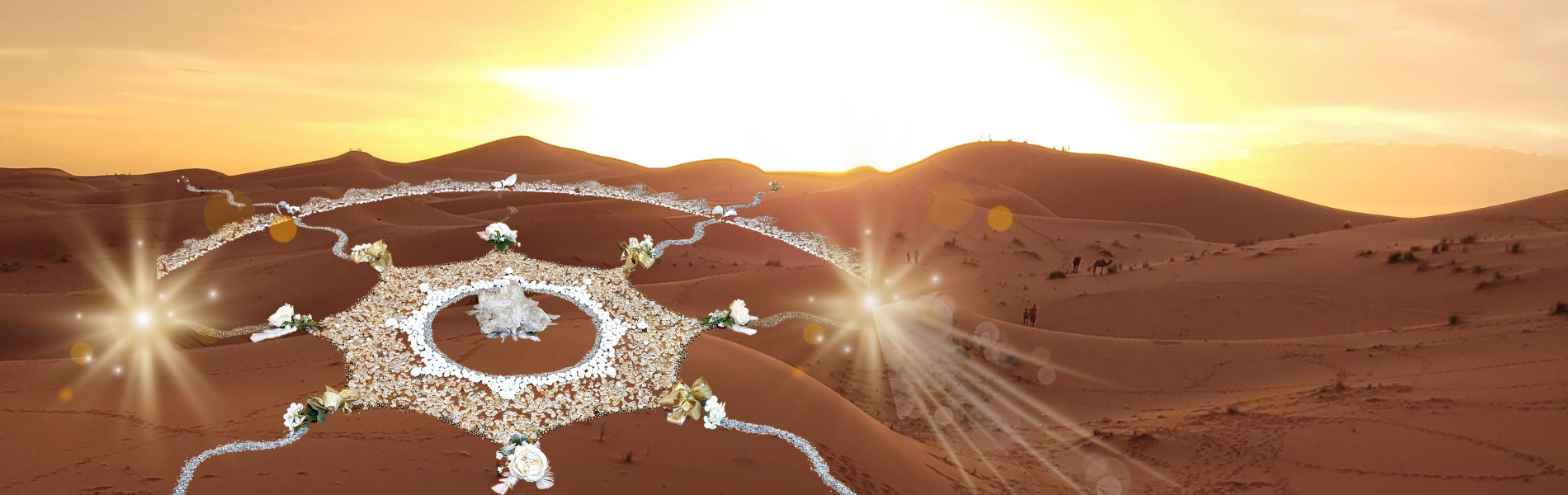 Úvodní fotka - najdisvakridla.cz